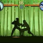 Shadow Fight