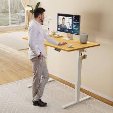 Standing Desk?